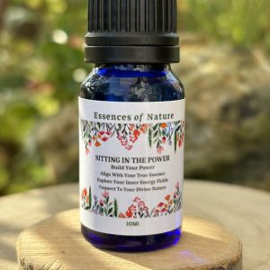 Sitting in the Power Plant Spirit Healing Oil - 10ml