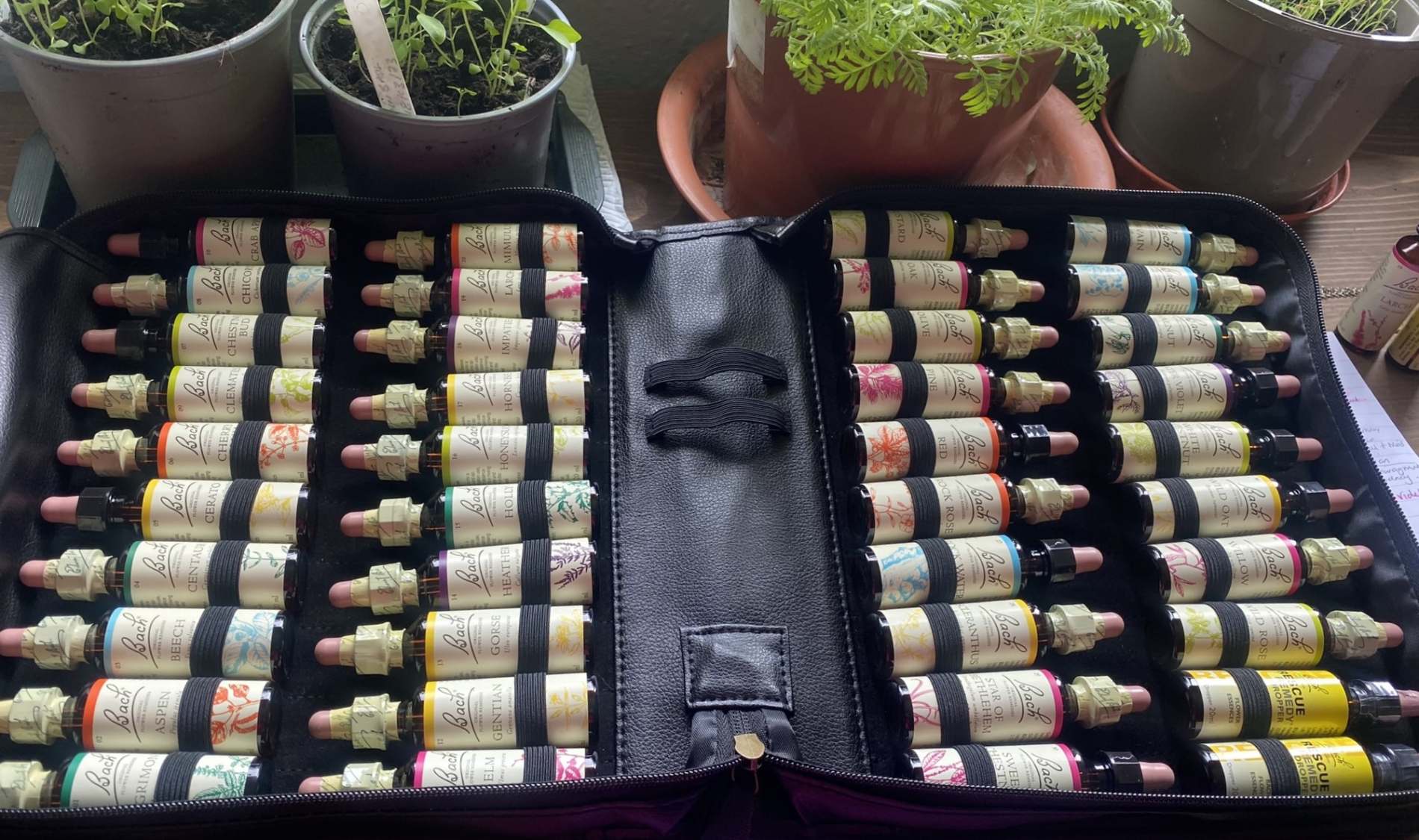 Bach Flower Consultation - Image 3