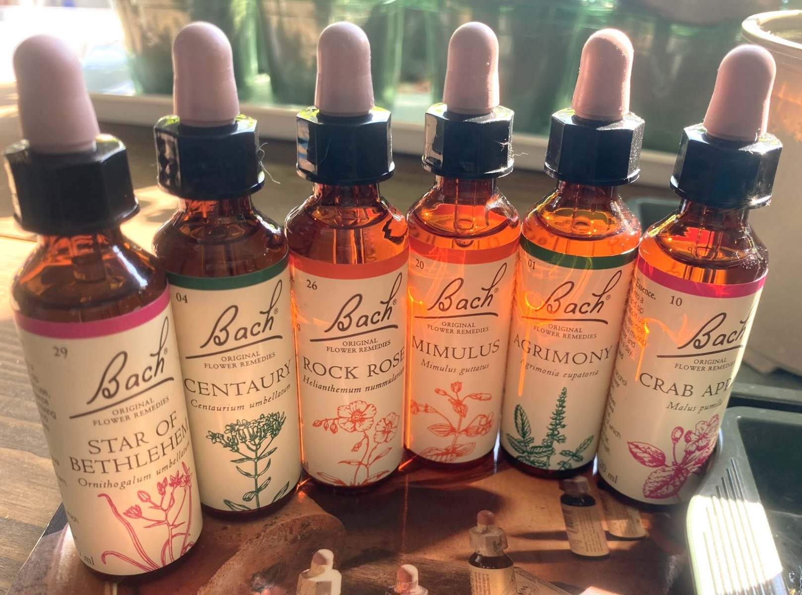 Bach Flower Consultation - Image 2