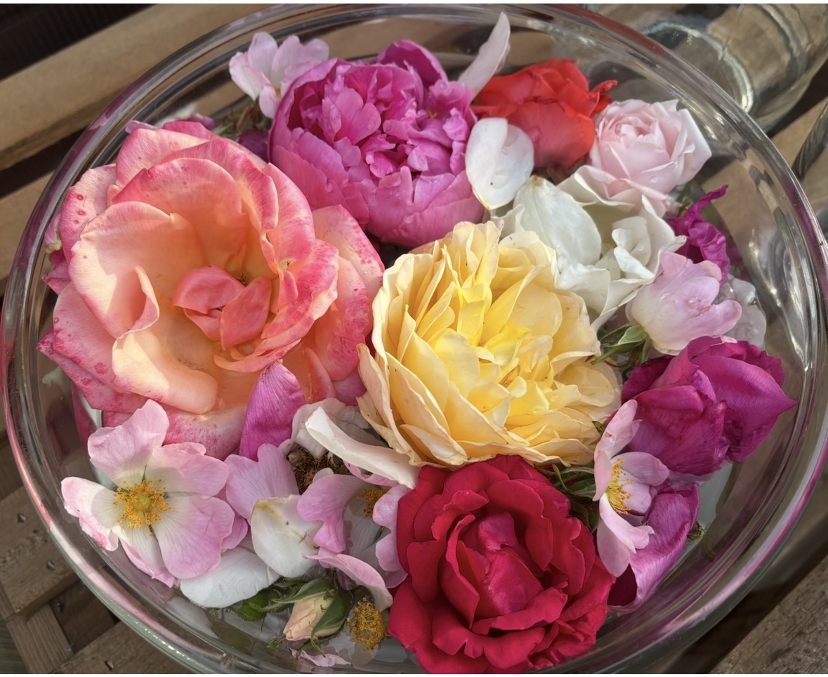 Rose Oil Infused with Rose Quartz, Rahanni Celestial Healing Energy & Crystal Bowl F Sound Frequency - 10ml - Image 8