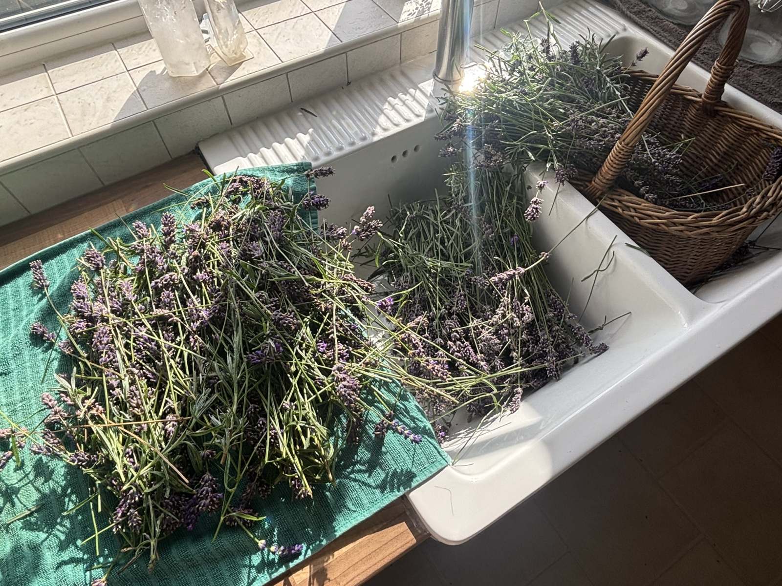 English Lavender Hydrosol 100ml - Image 2