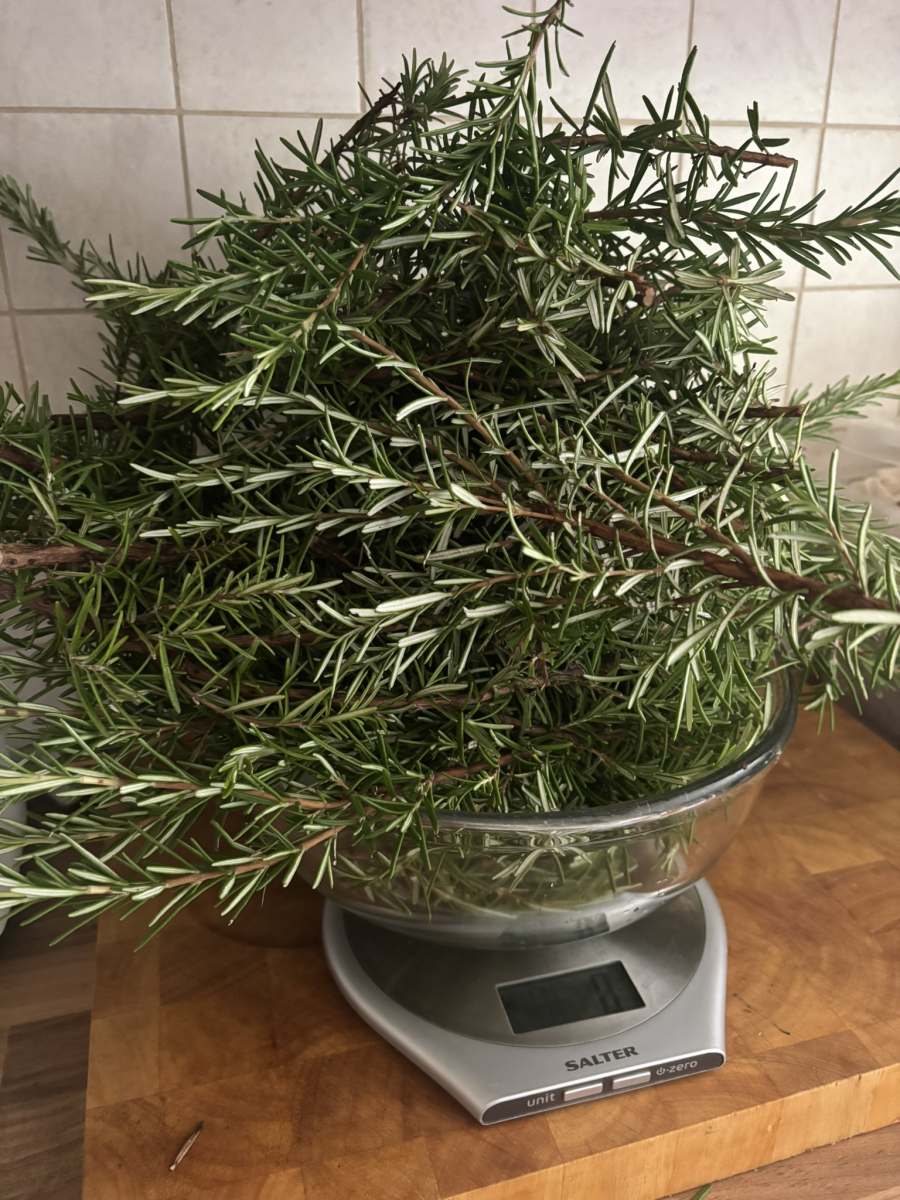Rosemary Hydrosol 100ml - Image 2